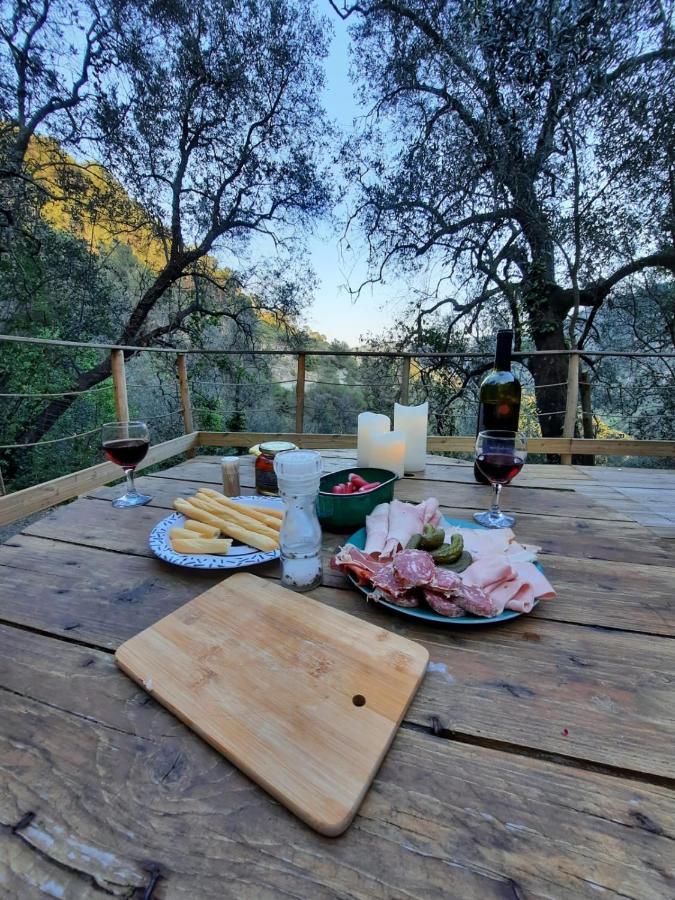 בריי-סור-רויה Chalet Zenitude מראה חיצוני תמונה