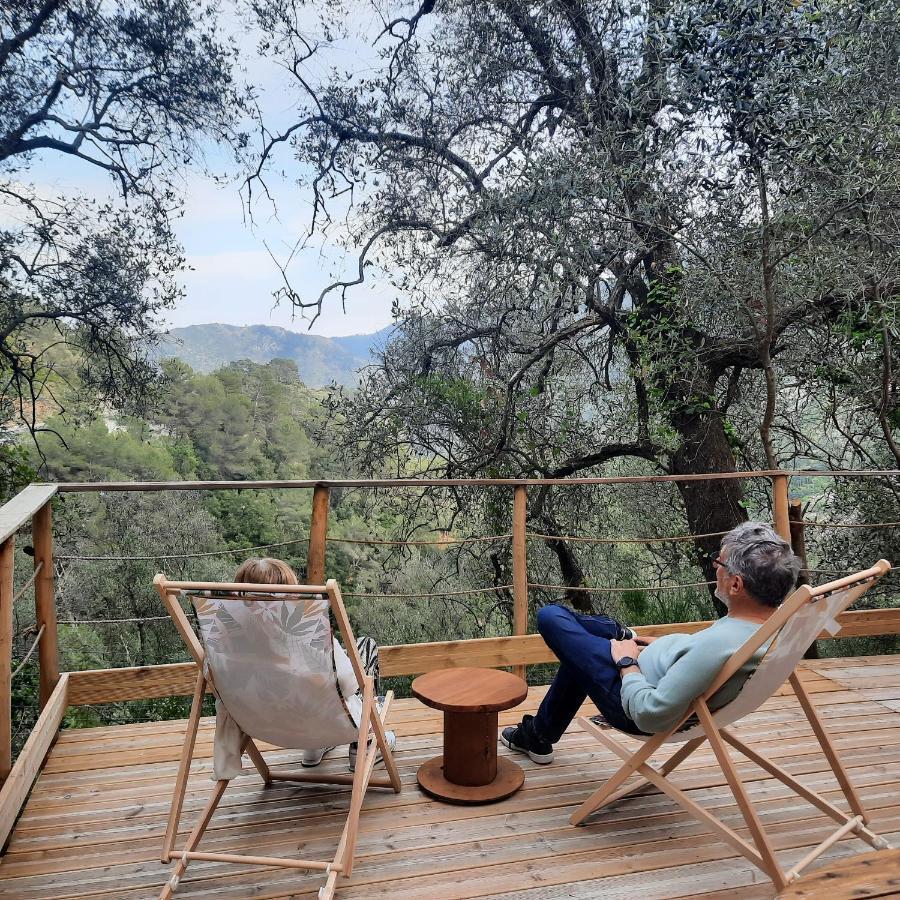 בריי-סור-רויה Chalet Zenitude מראה חיצוני תמונה
