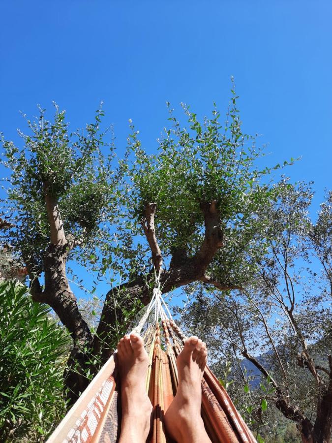 בריי-סור-רויה Chalet Zenitude מראה חיצוני תמונה